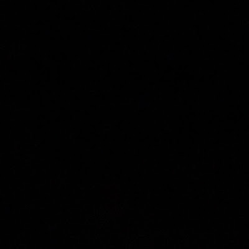 Meet your Posher, Dayna